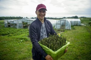 Gyvenimą Vilniuje iškeitė į ūkį: jo dėka smidrai pradėjo augti ir Lietuvoje