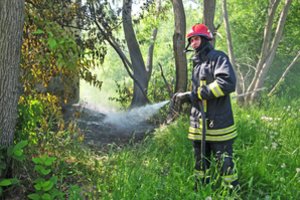 Neringoje kilęs nedidelis miško gaisras užgesintas
