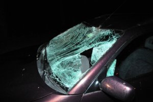 Įdomi technologija, kuri gali išgelbėti nuo avarijų su gyvūnais