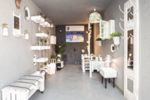 Stilingos namų dekoracijos – iš atliekų