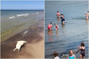 Lietuvos paplūdimyje poilsiautojus pašiurpino makabriški radiniai
