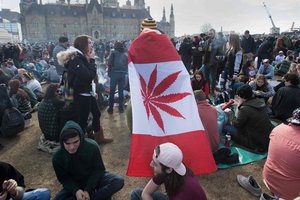 Kanados parlamentas pritarė kanapių legalizavimui