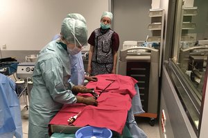 Baltijos šalių medikų rankose – ir sudėtingiausia pilvo aortos implantacija