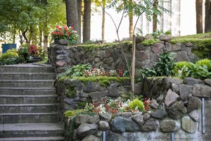 Vilniečius ragina puoštis žiedais – už tai dar laukia ir dovanos