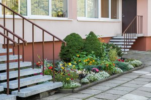 Vilniaus gėlynų puoselėtojams – gera žinia
