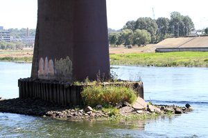 Lietuva kol kas neprašys ES paramos dėl sausros 