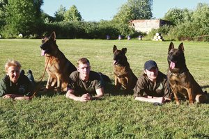 Ypatingas Kauno būrys: atkaklūs keturkojai gelbėja gyvybes ir stabdo sukčius