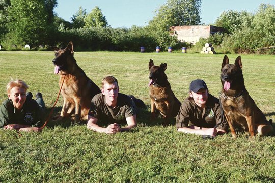 Ypatingas Kauno būrys: atkaklūs keturkojai gelbėja gyvybes ir stabdo sukčius