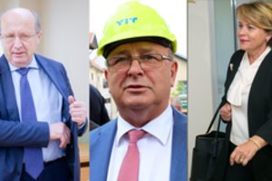 Politikai ieško naujų nišų, kaip prisibelsti į rinkėjų širdis ir verslininkų pinigines