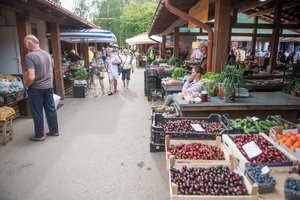 Turguje akys ant kaktos iššoka: „Jūs ką, išprotėjot?“