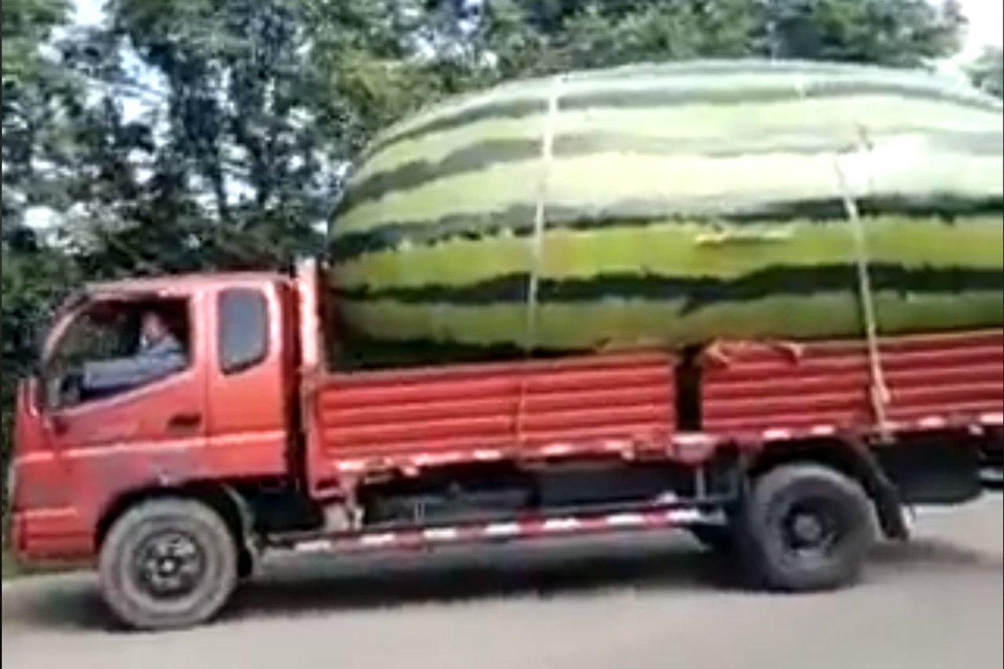  Vairuotojas pastebėjo sunkvežimį, kuri vežė gigantišką arbūzą primenantį krovinį.<br> Ekrano nuotr.