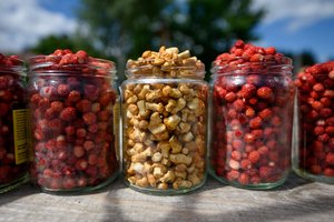 Grybų turguose – katino ašaros, tačiau kai ko – per akis