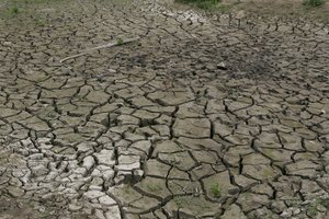 Vyriausybės komisija svarstys dėl sausros šalyje skelbti ekstremalią situaciją 