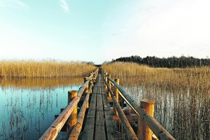 Lietuviai atrado rojaus kampelį  pas kaimynus, gamtos vaizdai ten – lyg iš filmo