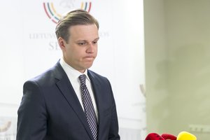 G. Landsbergis: „Demokratijos būklė su šitais valdančiaisiais yra prasta“