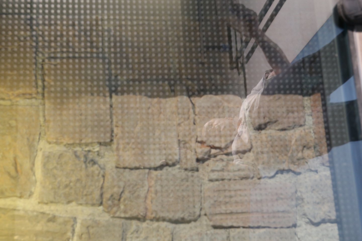  Po stikline danga – Bonos Sforzos laikų grindų liekanos.<br>R.Danisevičiaus nuotr.