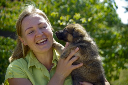 Ištirpsite vos pamatę: keturkojų pareigūnų pamaina auga japoniškame sode