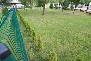 Neįprastas gaisras – sudegė septynios tujos