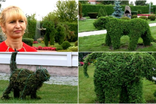 Kauniečių kieme – ypatingas, vienintelis toks Lietuvoje sodas