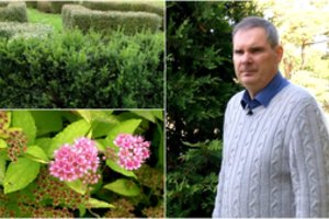 Gyvatvorėms kuo puikiausiai tinka visa eilė augalų – vilniečio patirtis tai liudija