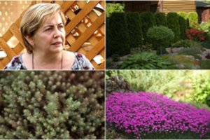 Operos solisto močiutė: „Šis alpinariumas mano kieme gimė per savaitę“