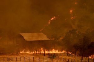 Per Kolorade kilusį miškų gaisrą sunaikinta daugiau kaip 100 namų