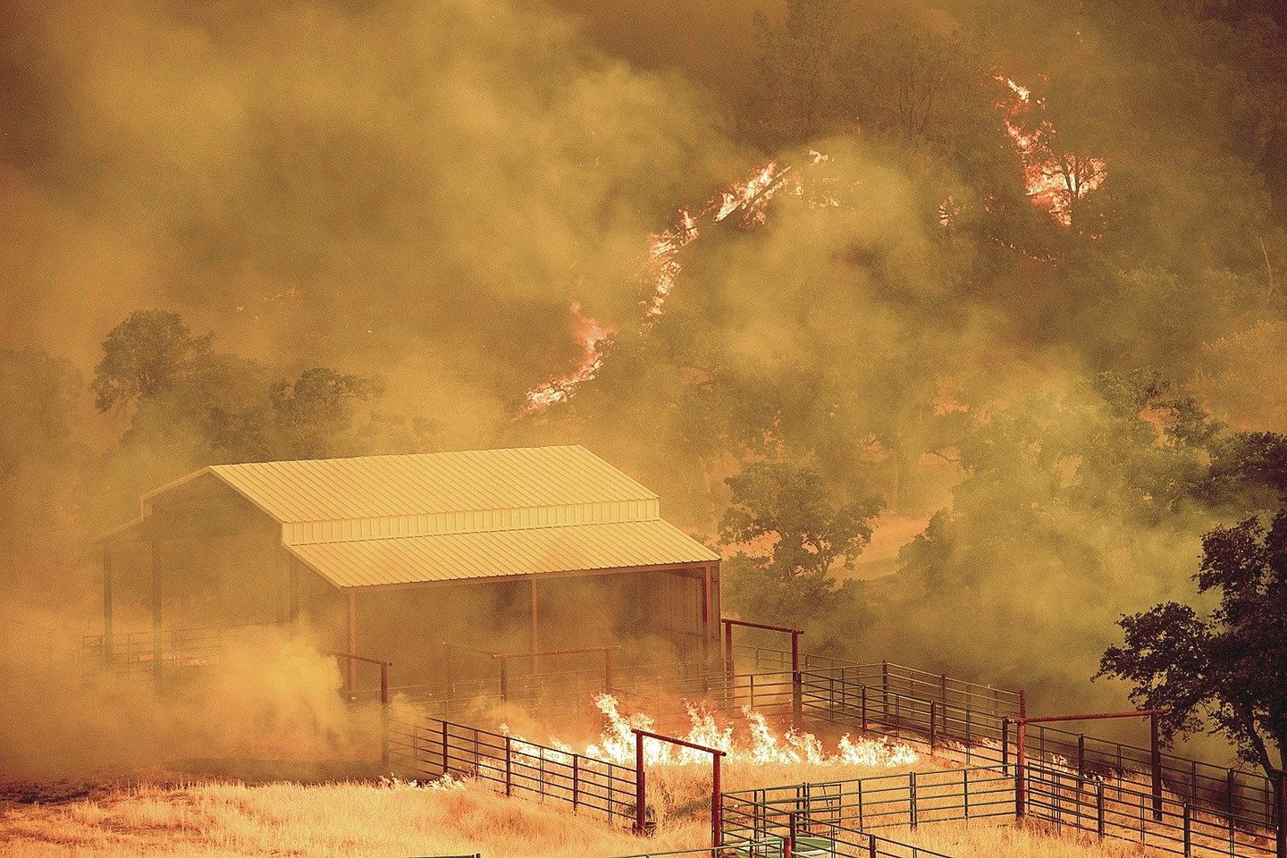 Kalifornijoje nuo savaitgalio ugniagesiai negali suvaldyti plintančių liepsnų.<br>AFP/„Scanpix“ nuotr.