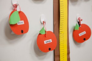 Ar galima lietuvių kalbos ir matematikos mokytis tos pačios veiklos metu? Kodėl gi ne!