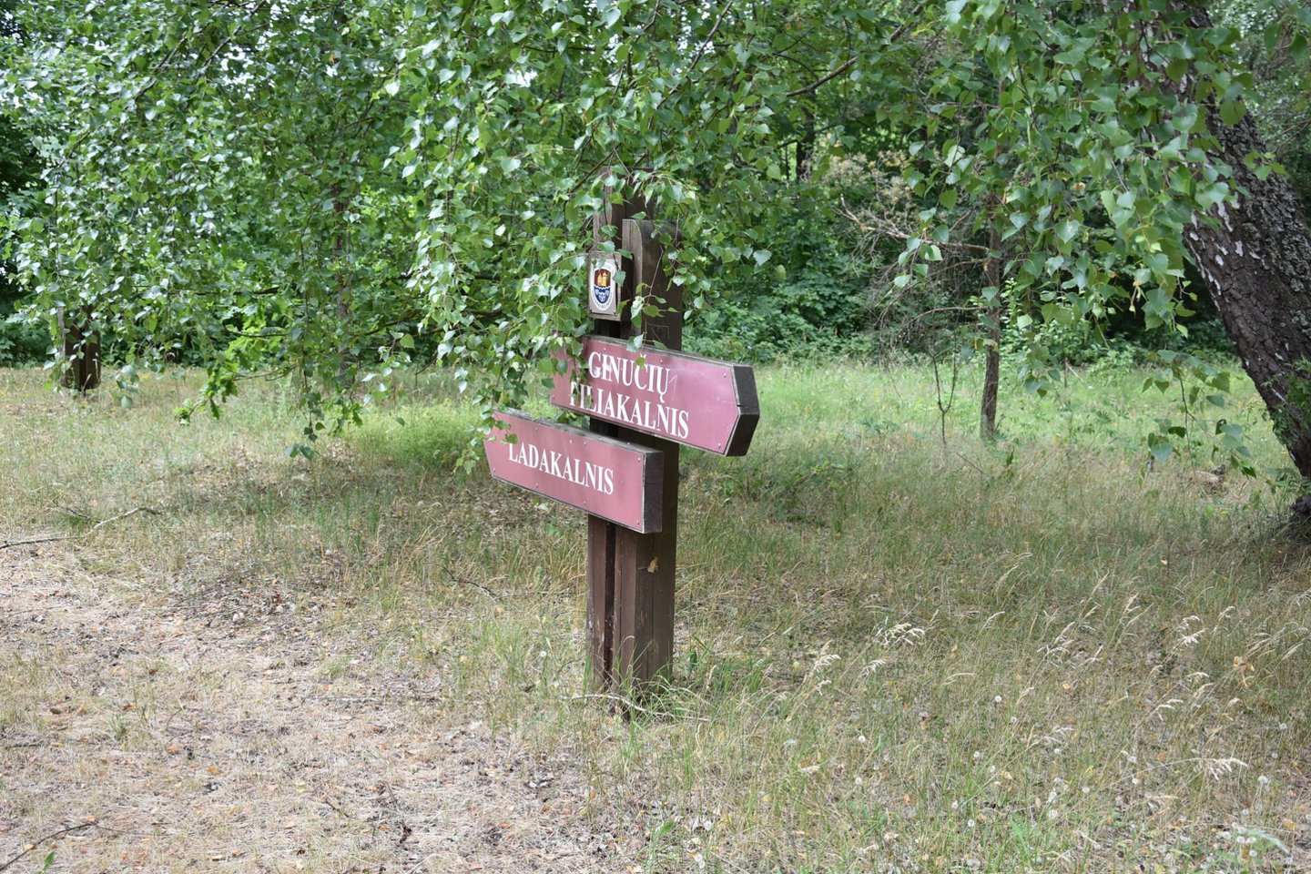 Ladakalnis ir Ginučių piliakalnis – dvi patraukliausios parko vietos, turinčios sodrią praeities istoriją.<br> A.Srėbalienės nuotr.