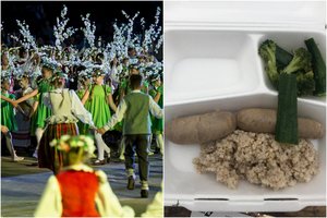 Dainų šventės organizatoriai atšovė merui, maisto tiekėjai – atsiprašė
