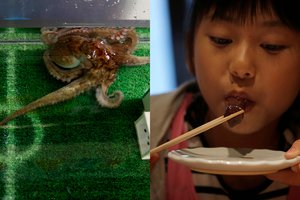 Futbolo rezultatus spėliojusiam aštuonkojui surengta egzekucija