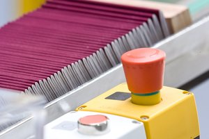 Seimo darbo grupė siūlo, kad referendumas dėl dvigubos pilietybės vyktų dvi dienas