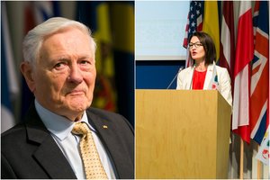 Pasaulio lietuviai supranta didžiausius iššūkius – referendumui reikės susitelkti