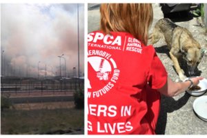 10 labiausiai užterštų vietovių pasaulyje, viena jų smogė ir Lietuvai