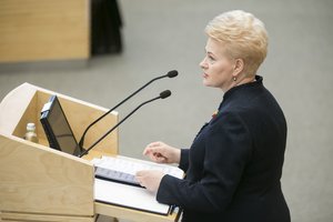 Dalia Grybauskaitė vetavo pataisas, sumažinusias reikalavimus referendumui dėl pilietybės
