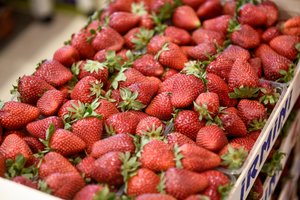 Sergantį vaiką lydėjusios ir braškių pirkti stojusios slaugytojos laukia nemalonumai