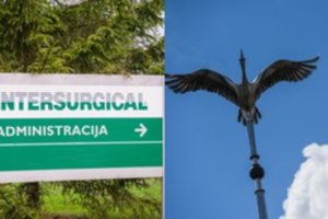 Gardus kąsnis Visaginui – britų investuotojai nusprendė čia statyti gamyklą