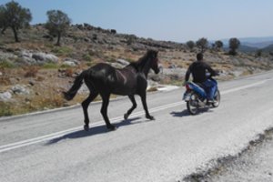 Keliaujantiems po užsienį išnuomotu automobiliu – nauja paslauga