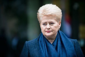 Prezidentė: pirmą kartą pripažinti Baltijos šalių oro gynybos trūkumai 