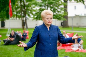 Dalia Grybauskaitė: naujas parlamentinis tyrimas – oligarchų kerštas
