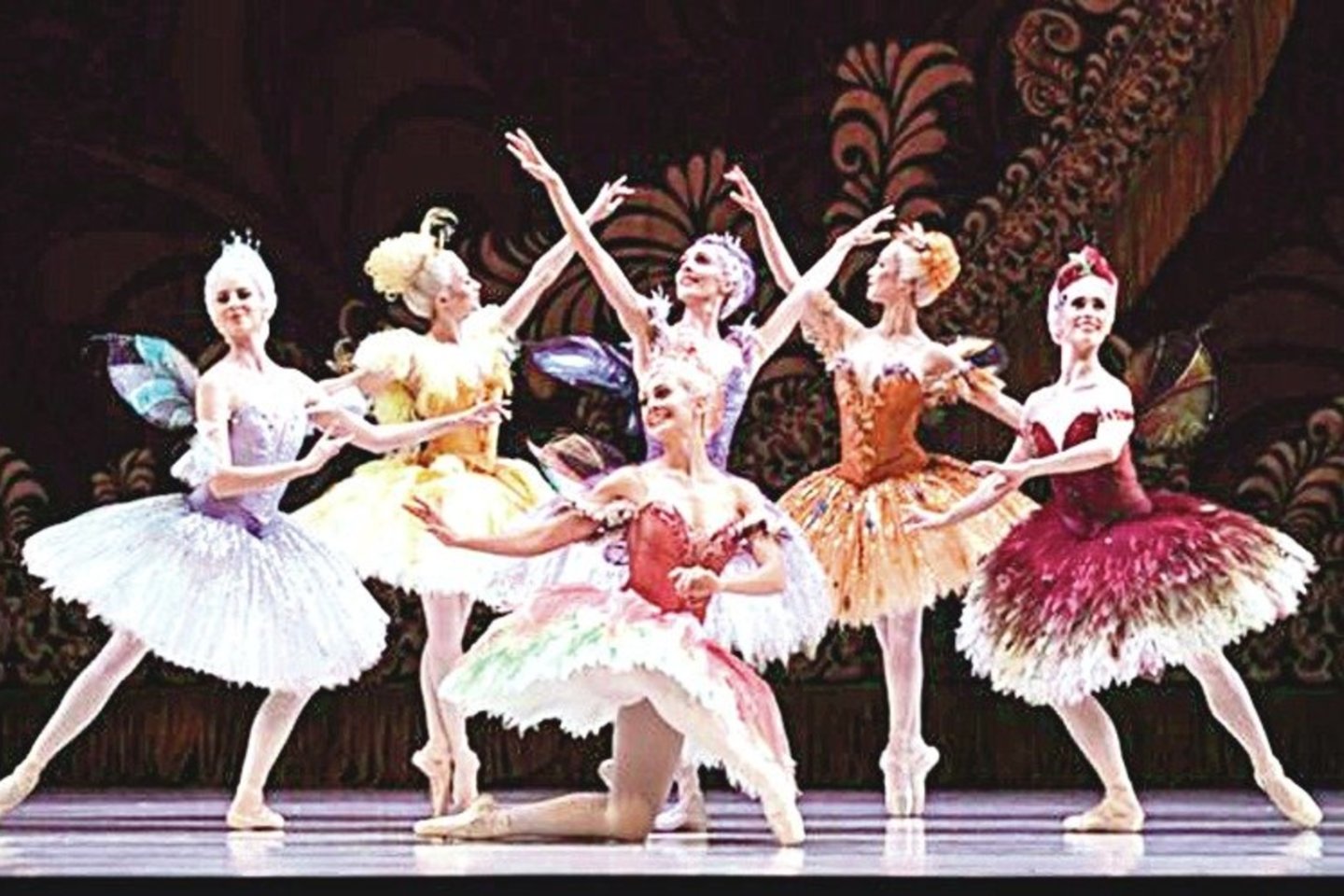 Baletą „Miegančioji gražuolė“ Australijoje nutraukė laidus nugraužusi žiurkė.<br>„Australian Ballet“ nuotr.
