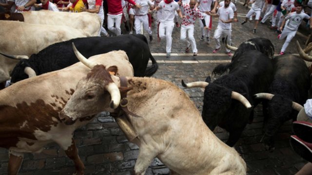 Per bulių bėgimą Ispanijoje sužeisti 7 žmonės