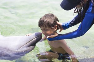 Populiariausi netradiciniai gydytojai Lietuvoje – jais pasitikėti kartais lengviau nei žmonėmis