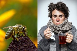 Ką turite padaryti dabar, kad nesirgtumėte rudenį