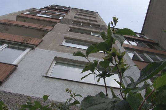 Stebuklas Šiauliuose: penkiamečio gyvybę išgelbėjo krūmas