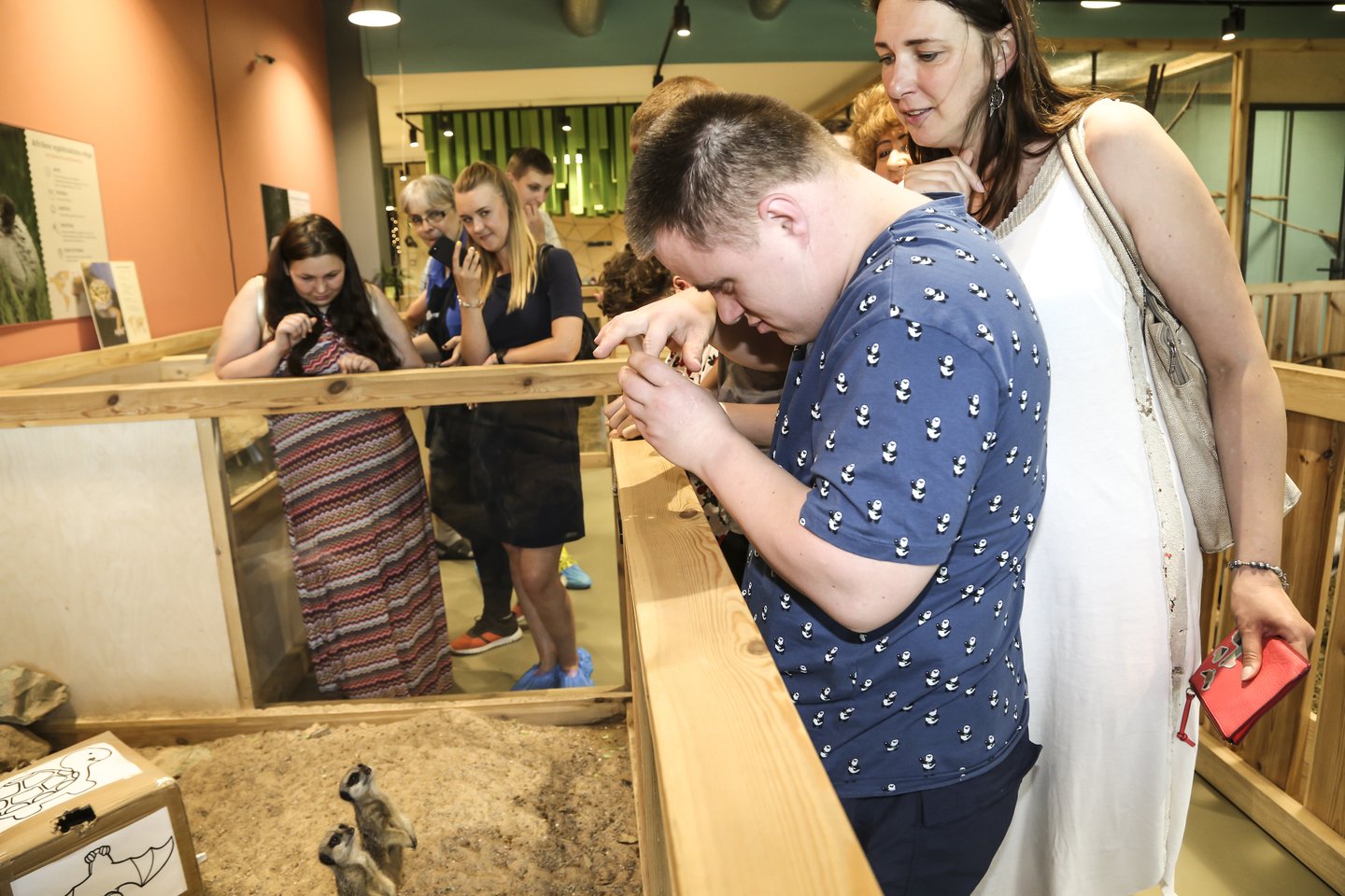 Birželio 22 dieną Zoopark šventė savo pirmąjį gimtadienį, kurio metu visą dieną vyko edukacinės pamokos, skirtos vaikams ir suaugusiems. Visi lankytojai turėjo galimybę nusifotografuoti su Zoopark gyventojais ir pavaišinti juos darbuotojų sukurtais daržovių „tortais“.<br> MiniZoo nuotr.