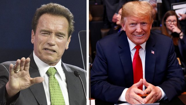 A.  Schwarzeneggeris kirto D. Trumpui: „Stovėjote kaip mažas, šlapias pusgalvis“
