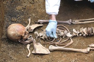 Vykdant rekonstrukciją parke buvo aptiktas netikėtas radinys