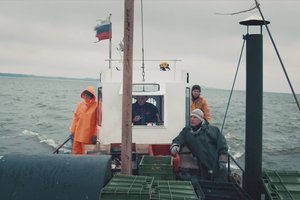 Artėja „Baltijos banga“: nauji lietuviški filmai ir pažintis su kaimynų kinu