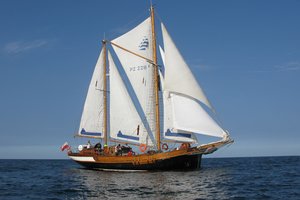 Jūros šventėje – daugybė įspūdingų burlaivių ir žūtbūtinės drakonų kovos